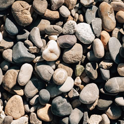 Image de la famille du produit